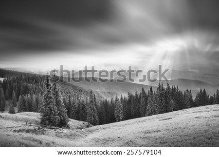 Stormy weather in a Carpathian valley with rays of sunlight, shining to the foggy hills. Monochrome colors