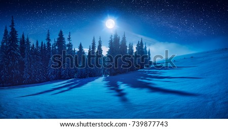 Fairy winter night in a mountain valley with full moon in a starry sky. Christmas mood.