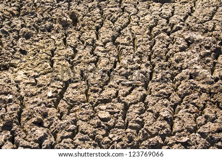 Been soaked with water when the soil dries rapidly, with global warming, the earth cracked.