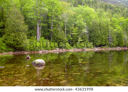 atlantic coastal mountain lake with pine tree forest