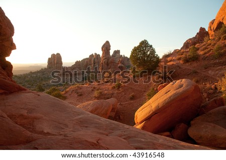 field of desert rock formations