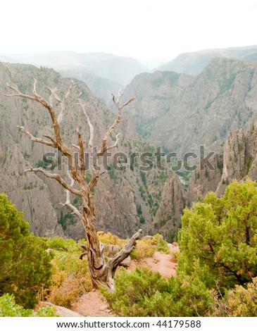 Tomichi Point view of layers of cliffs at Black Canyon of the Gunnison and green plants at the canyon edge