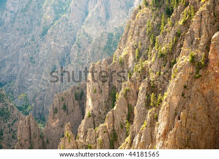 Tomichi Point view of layers of cliffs at Black Canyon of the Gunnison and green plants at the canyon edge