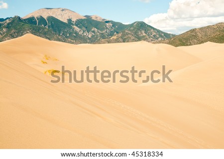sand dunes and Sangre de Cristo Mountain Range
