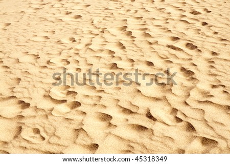 great sand dunes and footsteps in sand