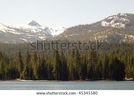 Summit Lake, pine forest and snow covered volcanic mountains