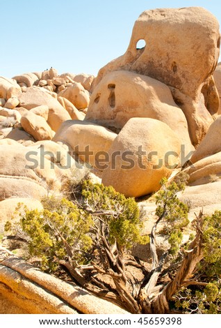 \'jumbo rocks\' desert rock boulder formations