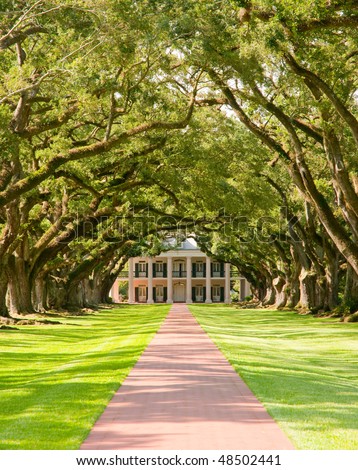 Oak Alley Plantation, hanging oak tree branches and brick path