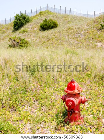brush growing on sand dunes and a red fire hydrant