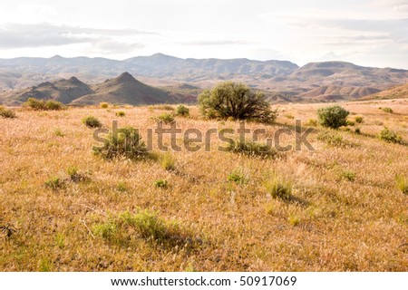 desert plains and brush land