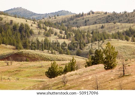 desert plains and brush land