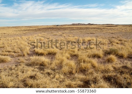 Petrified Forest National Park desert plains