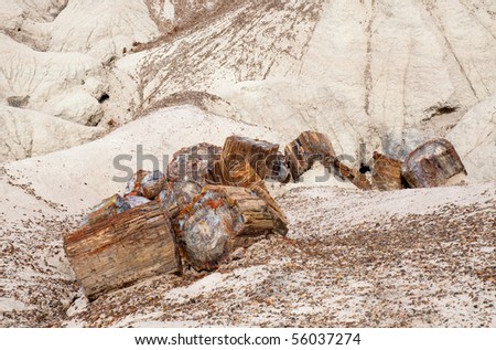 petrified tree and painted desert hills