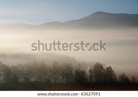 layers of trees and mountains in morning fog