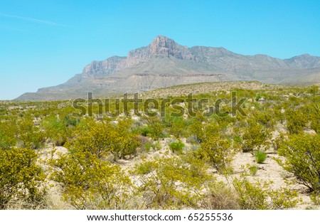El Capitian peak and desert plains