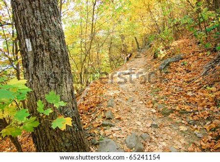 Appalachian Trail marker in fall