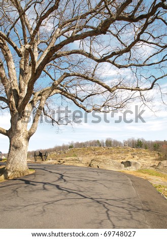 tree in front of Little Round Top