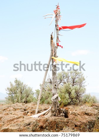 Modoc native american indian medicine flag totem