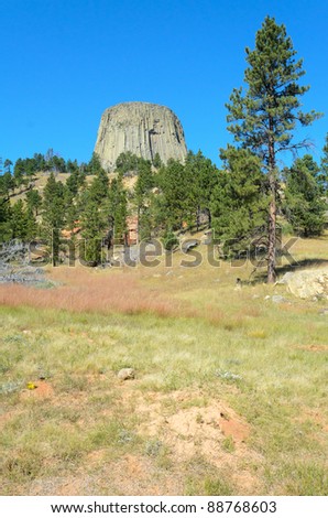 Devils Tower and pine trees