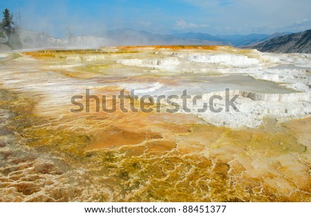 Upper Terrace thermal features at Mammoth Hot Springs