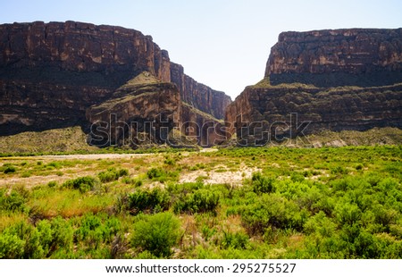 Lush Meadow at Big Bend National Park