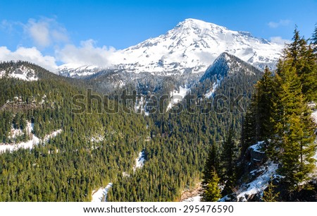 Pine Valley at Mount Rainier National Park