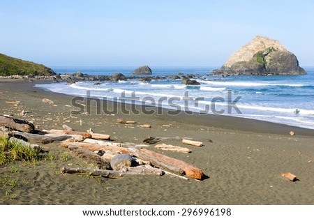 Beach and Rock Formation at Redwood National Park