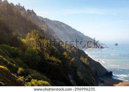 Coastal Overlook at Redwood National Park