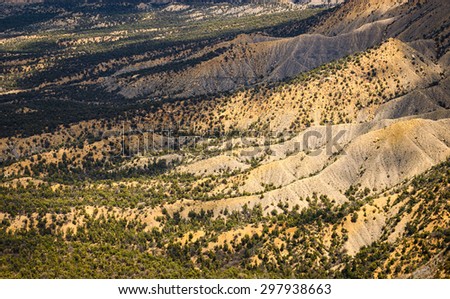 Lush Rolling Hills at Mesa Verde National Park