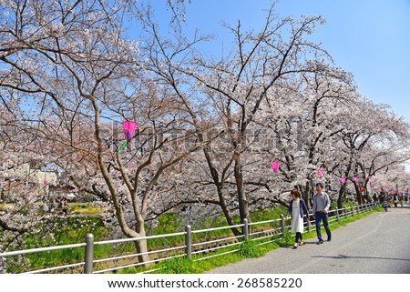 NAGOYA, JAPAN - MARCH 30 : Cherry blossom flowers in garden with many people at Japan Nagoya, Japan on March 30, 2015. Nagoya was a famous place of sakura garden.