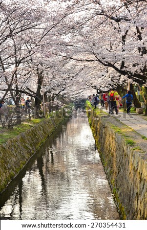 Philosopherâs Path Kyoto , JAPAN - MARCH 31 : Cherry blossom flowers in garden with many people at Japan on March 31, 2015. Philosopherâs Path was a famous place of sakura garden.