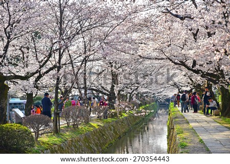 Philosopherâs Path Kyoto , JAPAN - MARCH 31 : Cherry blossom flowers in garden with many people at Japan on March 31, 2015. Philosopherâs Path was a famous place of sakura garden.