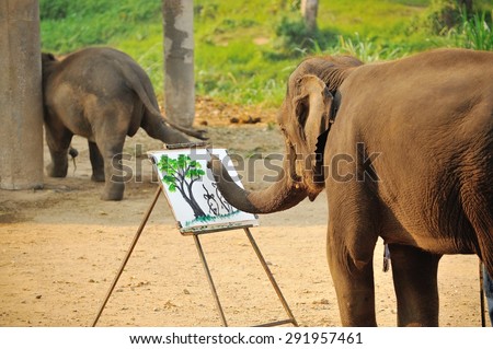 The activities at The young Elephant school : elephant bathing in the river, elephant painting and elephant riding, March, 2015 in Chiangmai, THAILAND