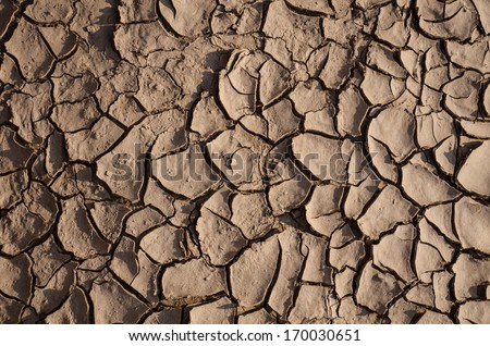 Closeup of a large dry mud field.