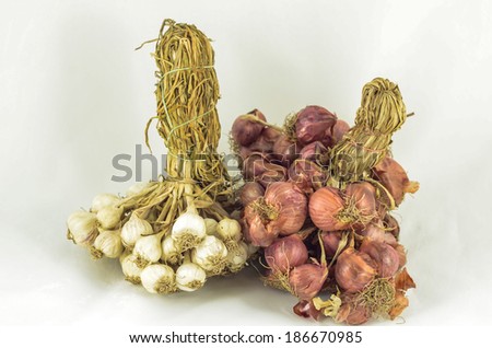 Onions, shallots, garlic and white onion on a white background