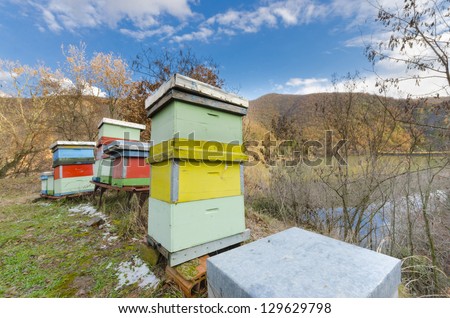 Honey bee hives box. Wood houses near the lake on the blue sunny sky.