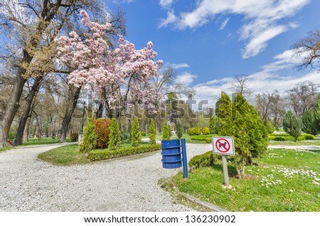 NO DOGS SIGN, spring outdoor park magnolia tree blossom and  colorful grass, trees on bright sky