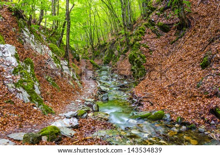 Early morning in the mountains. Mountain forest stream, Macedonia