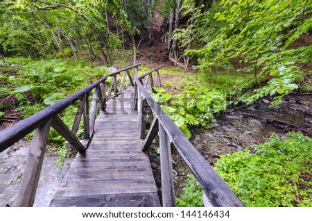 Spring forest with wood bridge over creek in yellow maple forest with trees and colorful foliage.