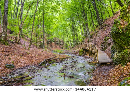 Spring forest with wood bridge over creek in yellow maple forest with trees and colorful foliage stream.