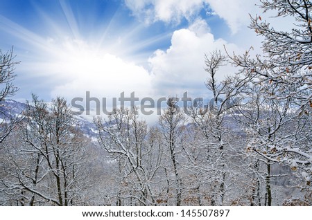 Beautiful winter landscape with snow covered trees and sunshine through the clouds