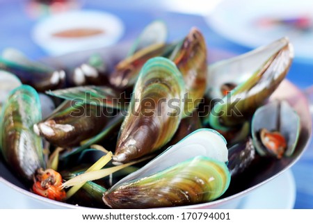 Green mussel