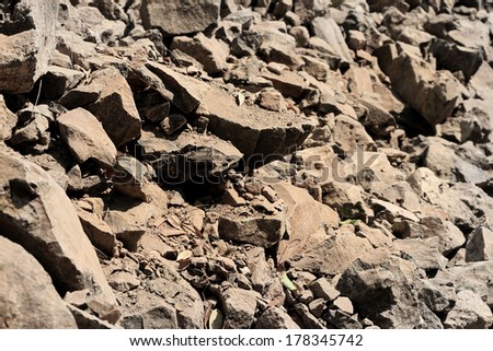 The soil texture background