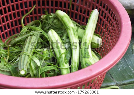 Zucchini in the market basket