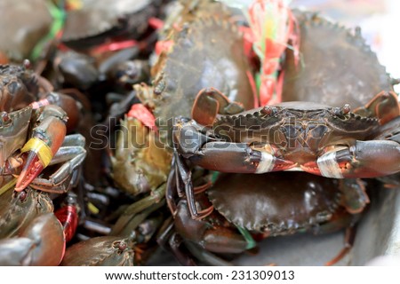 fresh crab at the market
