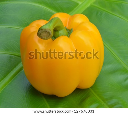 Carbon yellow sweet peppers on a green leaf.