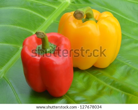 Red bell pepper, yellow leaves on green carbon