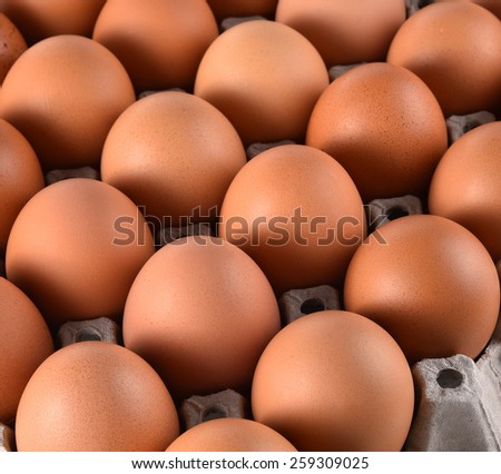Eggs and egg laying block paper