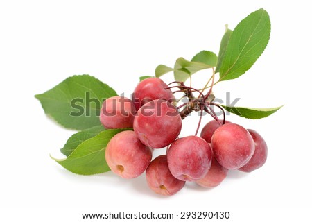 Crab apples isolated on white background