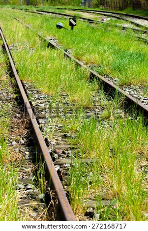 Rail Tracks With Grass
